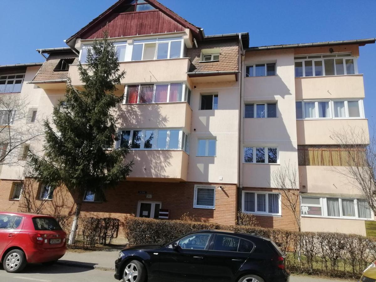 Studio Acasa Sibiu Exterior photo